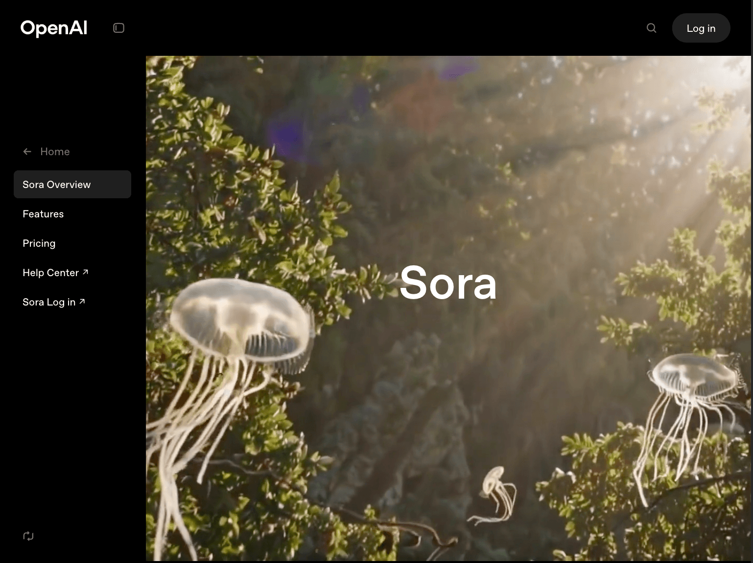 Sora screenshot